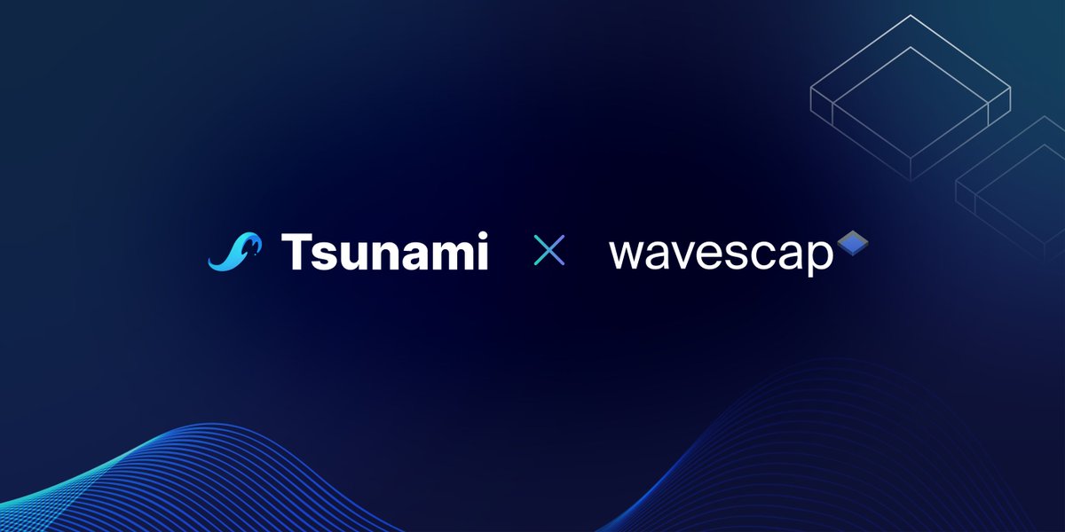 Tsunami Exchange 🌊 tweet media