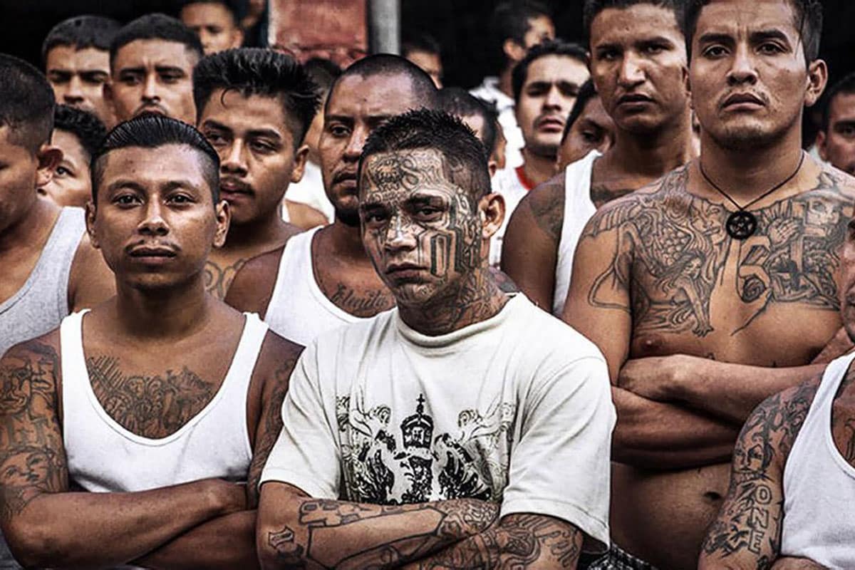 planetom13's tweet photo. Juan Pablo Fonseca du Cartel "Los Cannibalos" de Monterrey :
"On a peur de personne, et encore moins de la mort. Seul endroit où on ira pas : les écoles maternelles de Marseille, ça a l'air pire que l'Enfer, le royaume des Dingos selon @FlorianThauvin. Non merci."
#TeamOM https://t.co/E0zxwGDJ9L