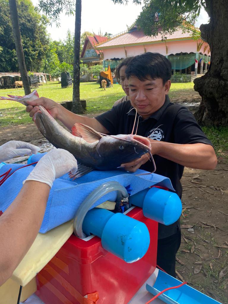 ausvetgroup tweet media