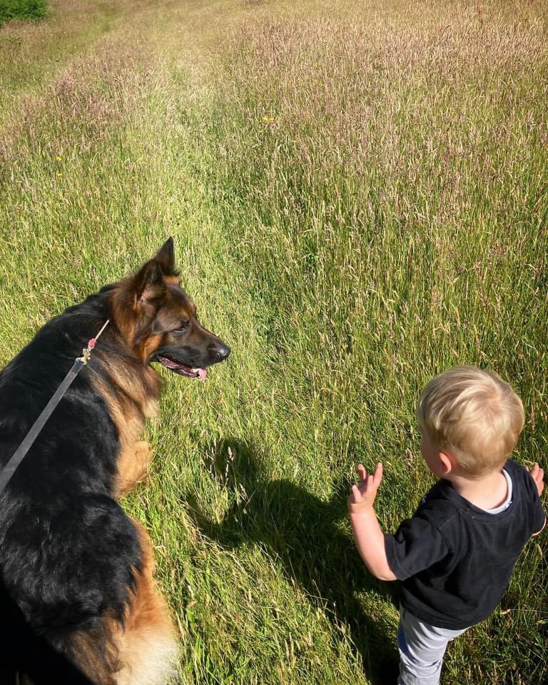 Our boy out for a run with Duke 😍

‘Hiya Duke’ 👋🏻 🖤 🐾 

#TeamK9X #gsd #germanshepherd #junior #doghandler #boyanddog