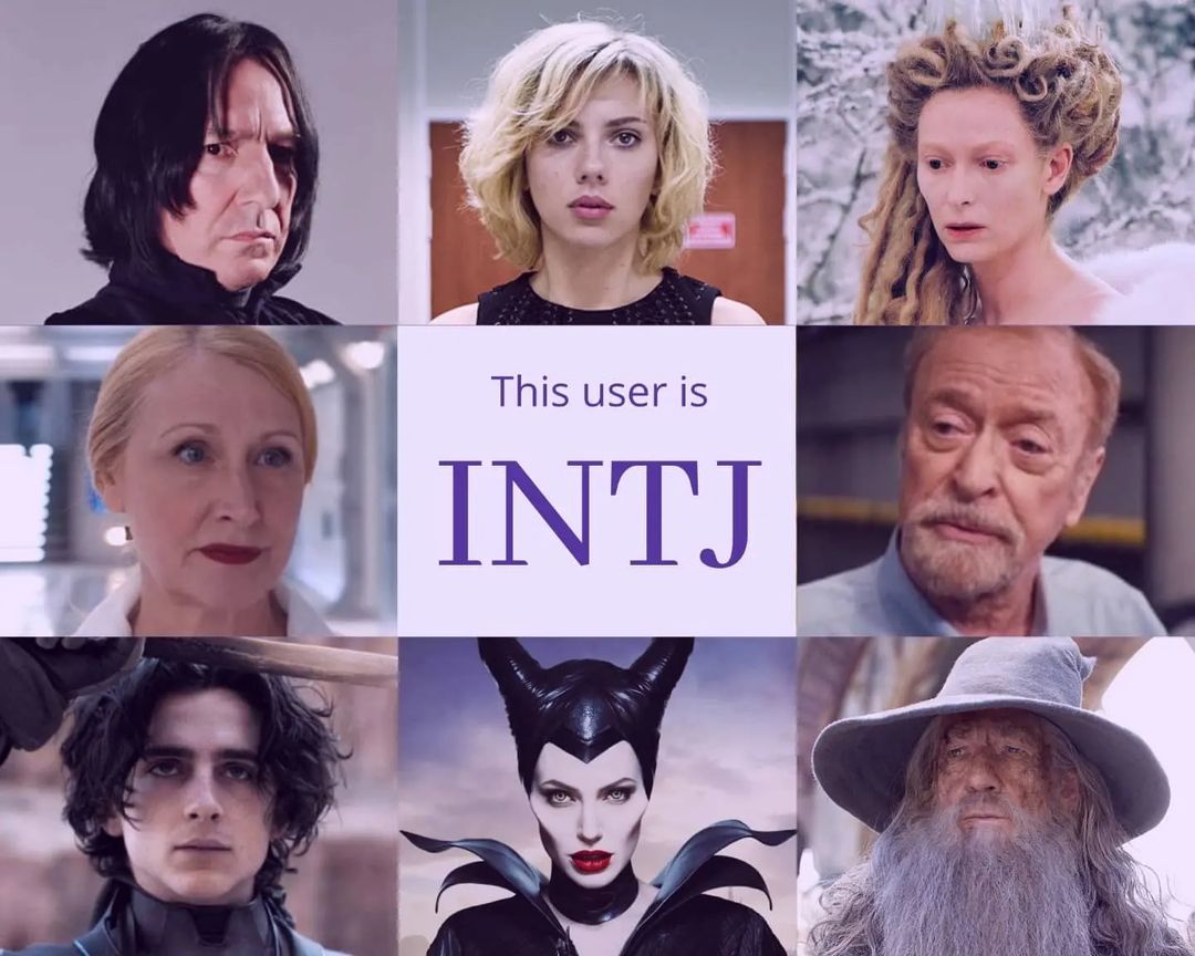 INTJ, با کدوم کاراکتر هم تایپی(mbti)