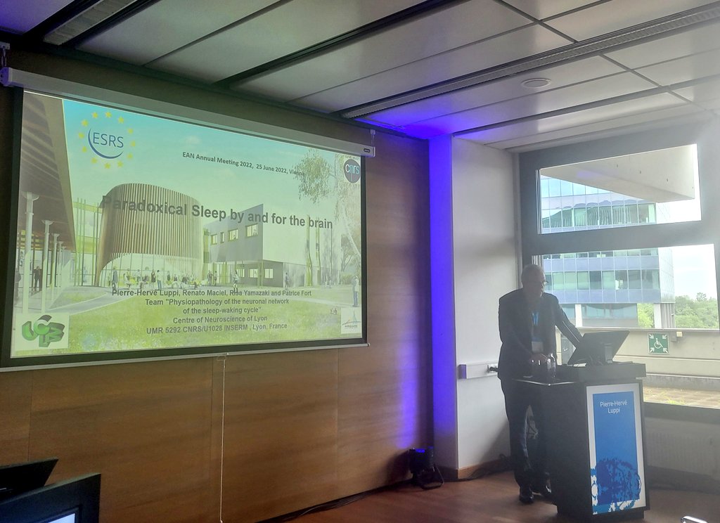 ESRS (@esrs_sleep) on Twitter photo Our President, Piere-Herve Luppi presents at the Sleep Symposium going on now at #ean2022 on paradoxical #sleep by and for the #brain <a href="/EANeurology/">European Academy of Neurology</a> Our President, Piere-Herve Luppi presents at the Sleep Symposium going on now at #ean2022 on paradoxical #sleep by and for the #brain <a href="/EANeurology/">European Academy of Neurology</a>