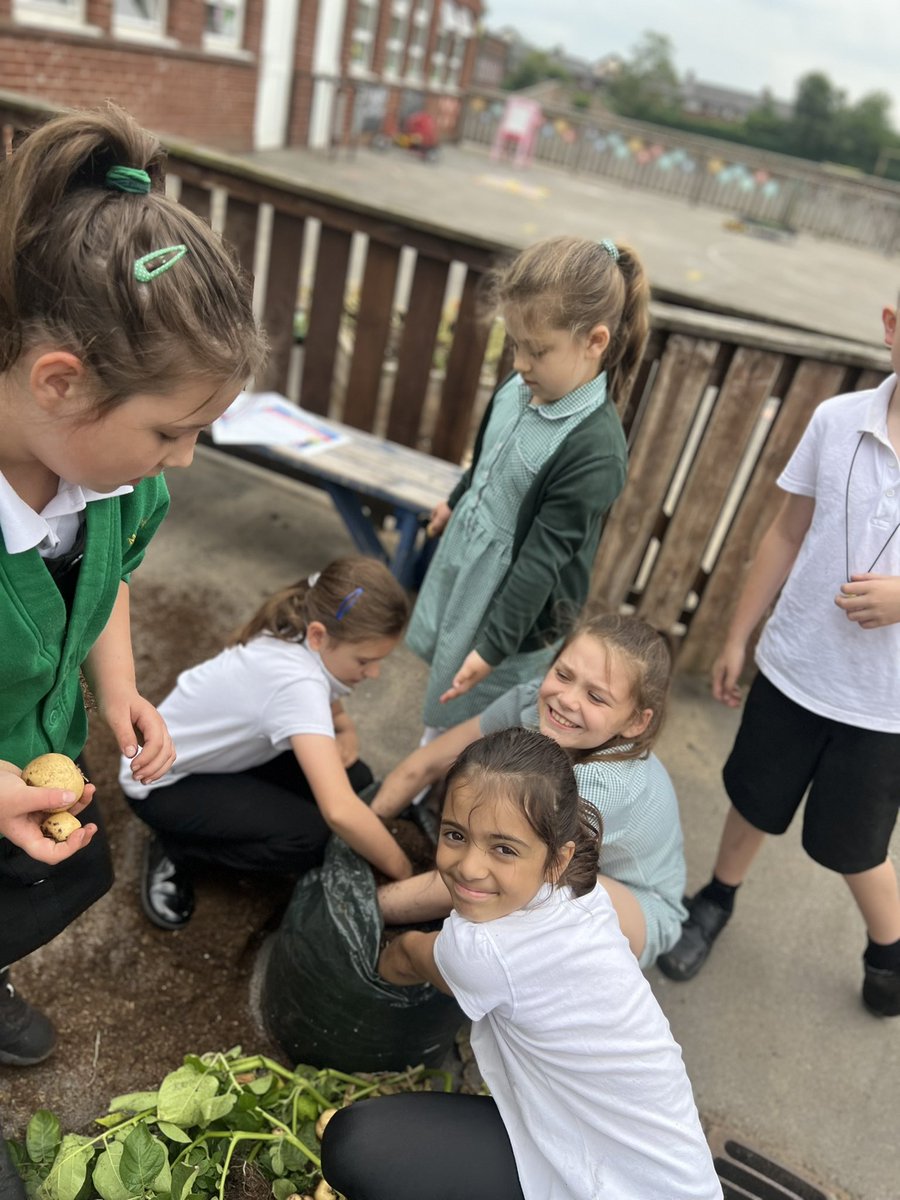 Meadowside Year 4 Cedar tweet media