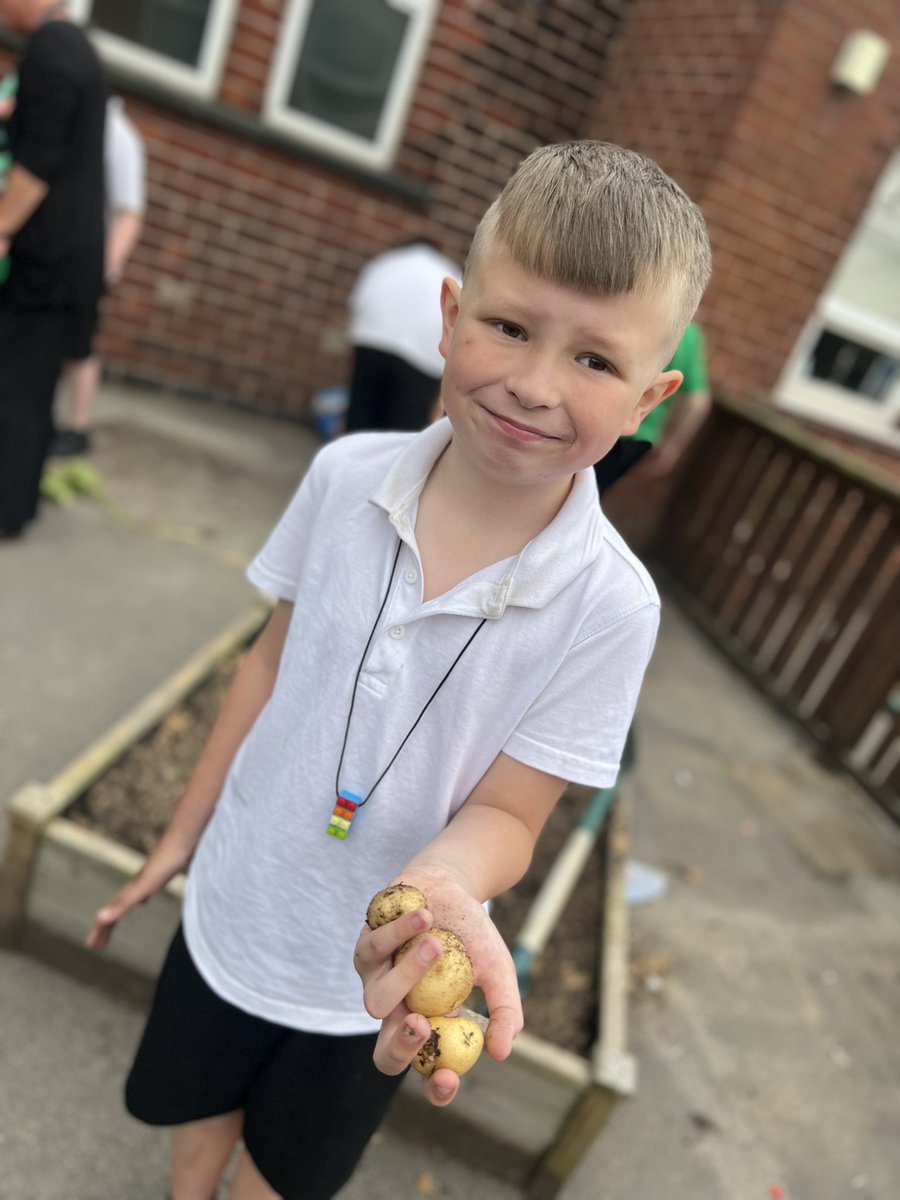 Meadowside Year 4 Cedar tweet media