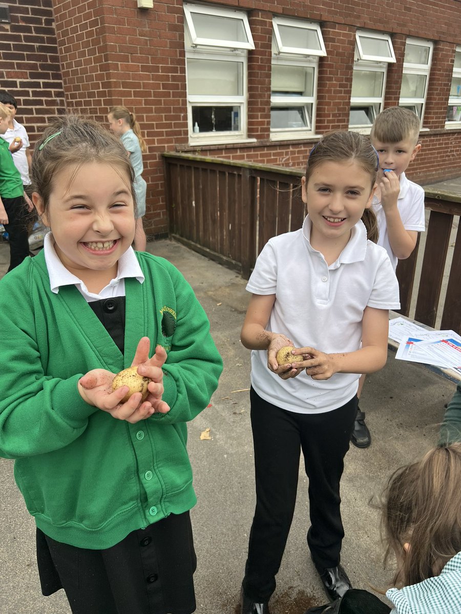 Meadowside Year 4 Cedar tweet media