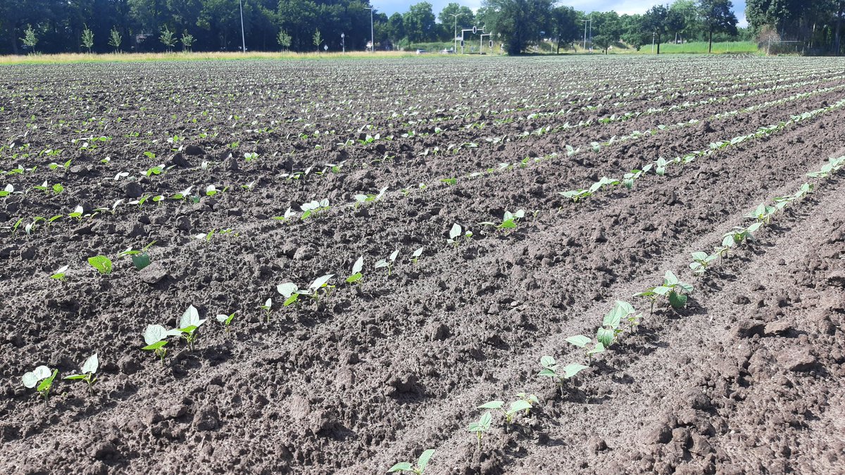 Is het dan geluk of vakmanschap 😅