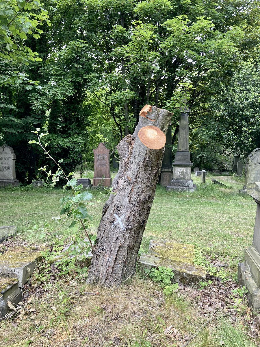 Friends of Dalry Cemetery tweet media