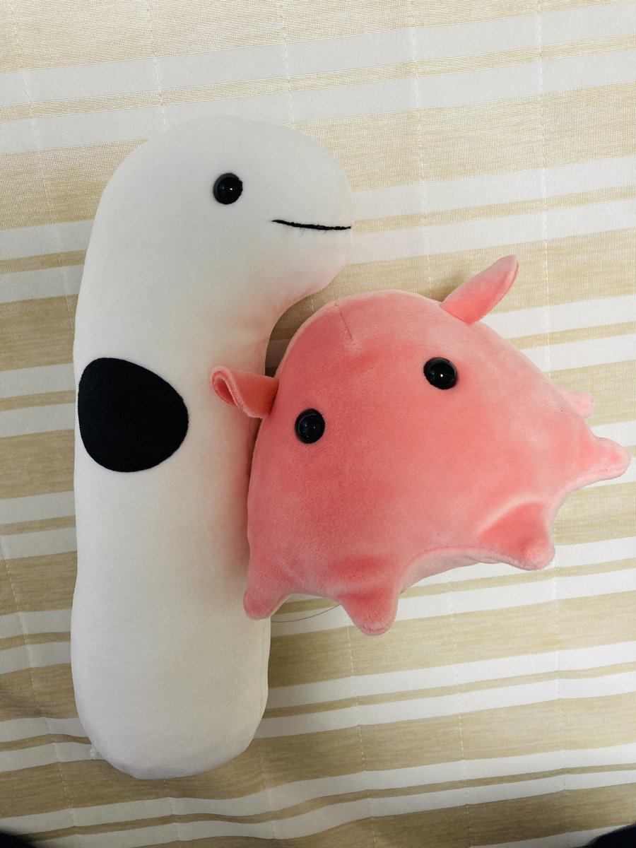 仲良しメンダコさん♡ハート