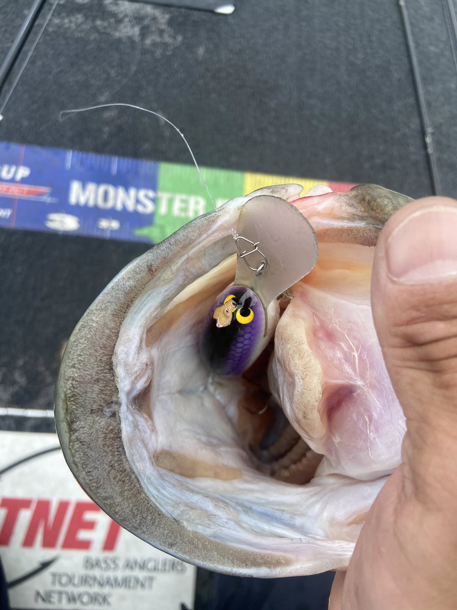 9GXWyceTYPfvBx4's tweet photo. 今日のお魚
赤野井
棚クランク
#woodream
#nonamecrank 2/0
ROD
#romanmade
#centurionmind
-JOIN-
58cm
2900g
thank you
#ayumuproduct
#2929works https://t.co/sjbf0GK7iv