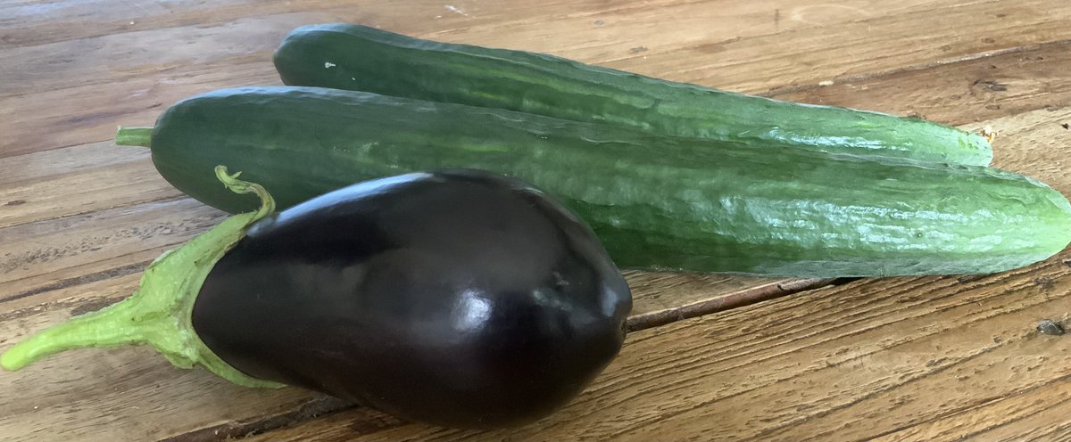 PuurMarylin's tweet photo. Let it #grow, rondje #moestuin #vandaag. Opbrengst twee #komkommers en een #aubergine. De rest onderweg. Zoals #sla, #wittekool en een ronde #courgette. Deze laatste is spontaan uit resten van onze #composthoop ontsproten. https://t.co/qwC8DJl3tC