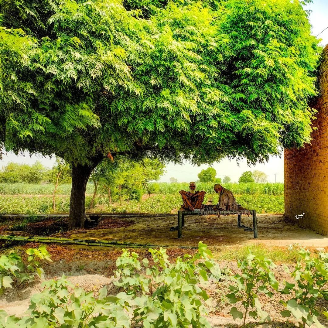 momentmemori's tweet photo. Plant trees https://t.co/8wcJg0F0x9