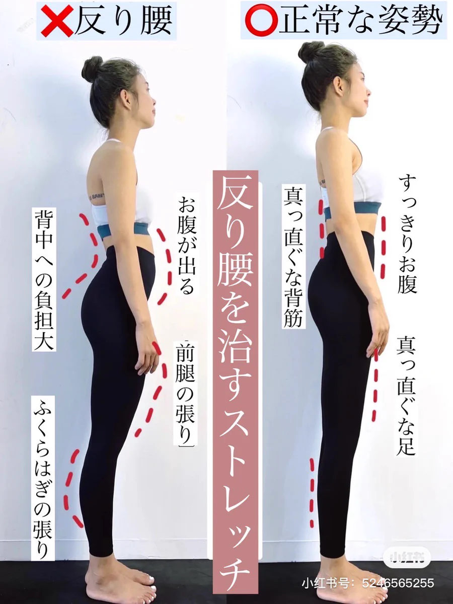 ぽっこりお腹やふくらはぎの張り解消！自宅でできる「反り腰」改善トレーニング