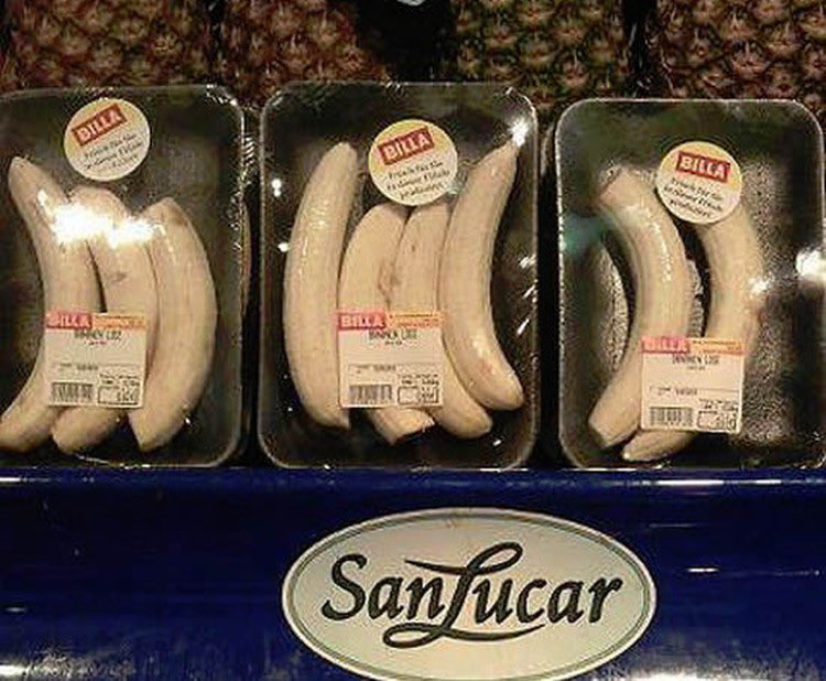 Maximilian_Julius_Klein tweet media