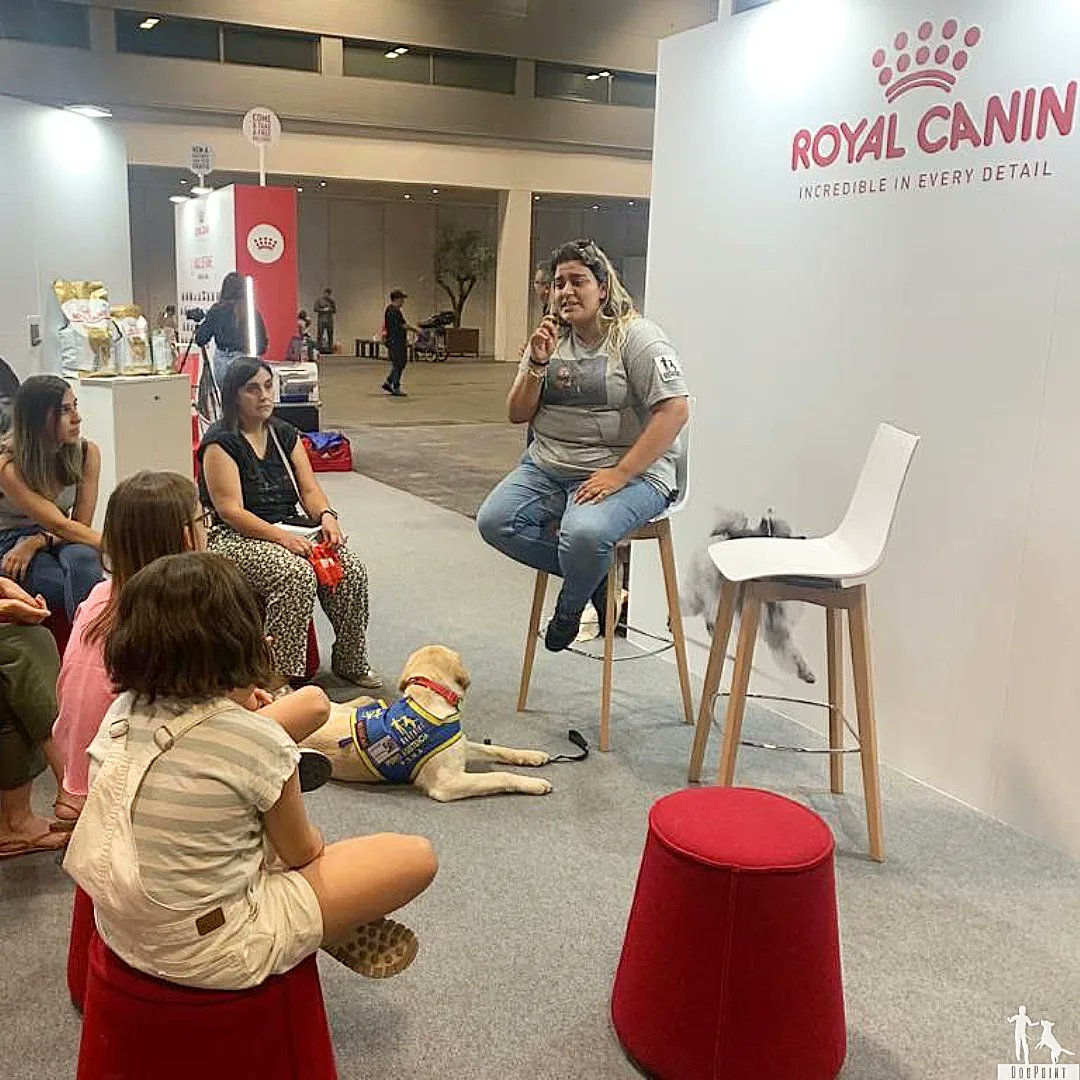 dogpoint_ong's tweet photo. Gracias a @RoyalCanin_Es por dejarnos su espacio de charlas en directo para poder dar a conocer la labor de los Perros de Asistencia para niños con autismo.
@IFEMA #perrosdeasistencia #autismo #worlddog https://t.co/Ts5IKcrXSt
https://t.co/IYNhGaOdPY https://t.co/mDDvRWDAhd