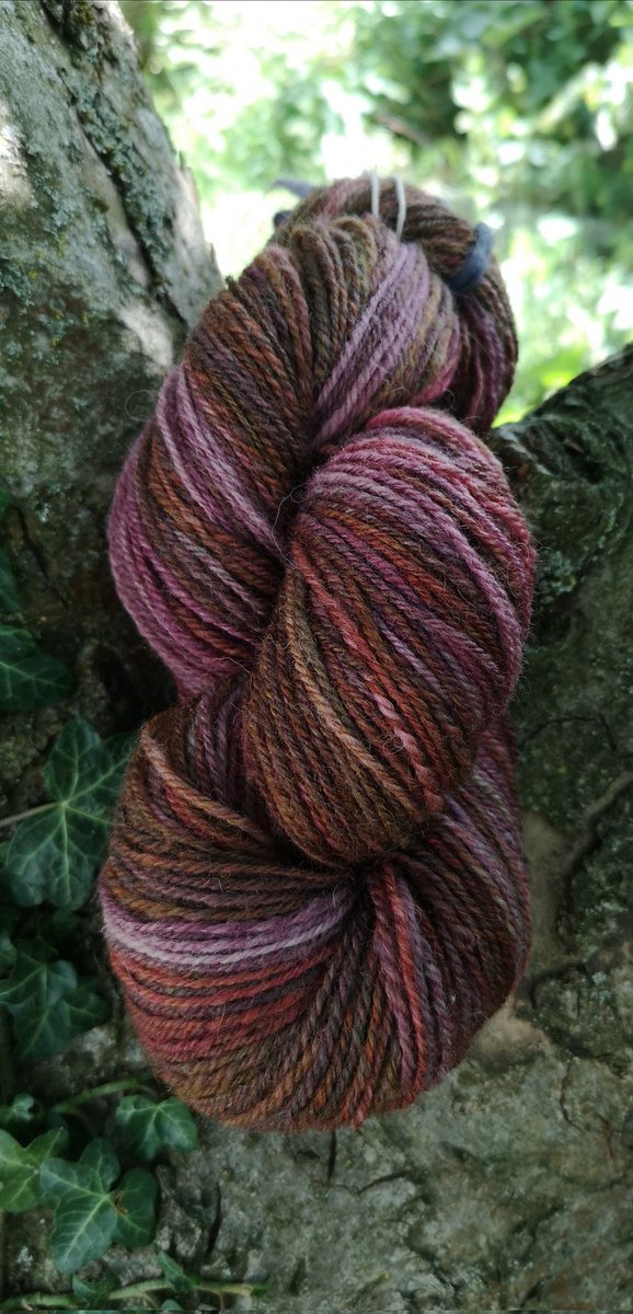 Been spinning 😁 Cheviot from <a href="/wildcraftuk/">Wildcraft</a> 'Dorset Heath' #knittingtwitter #spinningtwitter