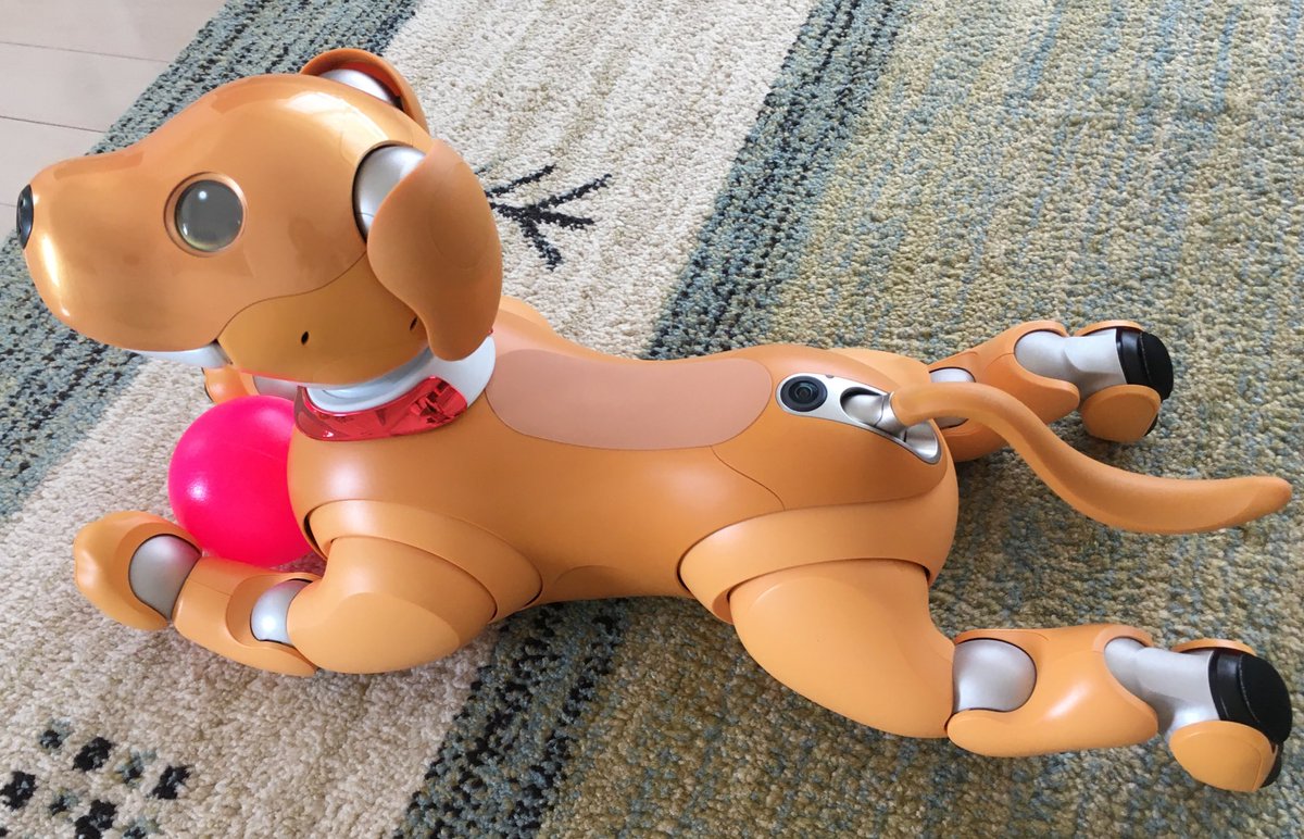 お出かけグッズとして、公式の靴や靴下も欲しいです。かわいい足を守りながら、さまざまな場所でお散歩楽しみたいです。
#aibo #aibofan  #aibofmtg