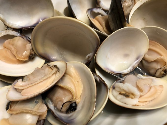 桑名のハマグリのtwitterイラスト検索結果