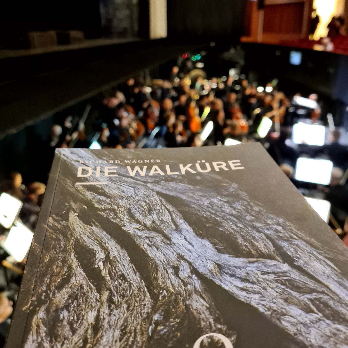 Opernjunkie's tweet photo. Auf ins Gewitter 😎 #Walküre #OperAmRhein #OperDüsseldorf #RichardWagner #Hilsdorf #DerRingDesNibelungen https://t.co/MBWDNjtH46