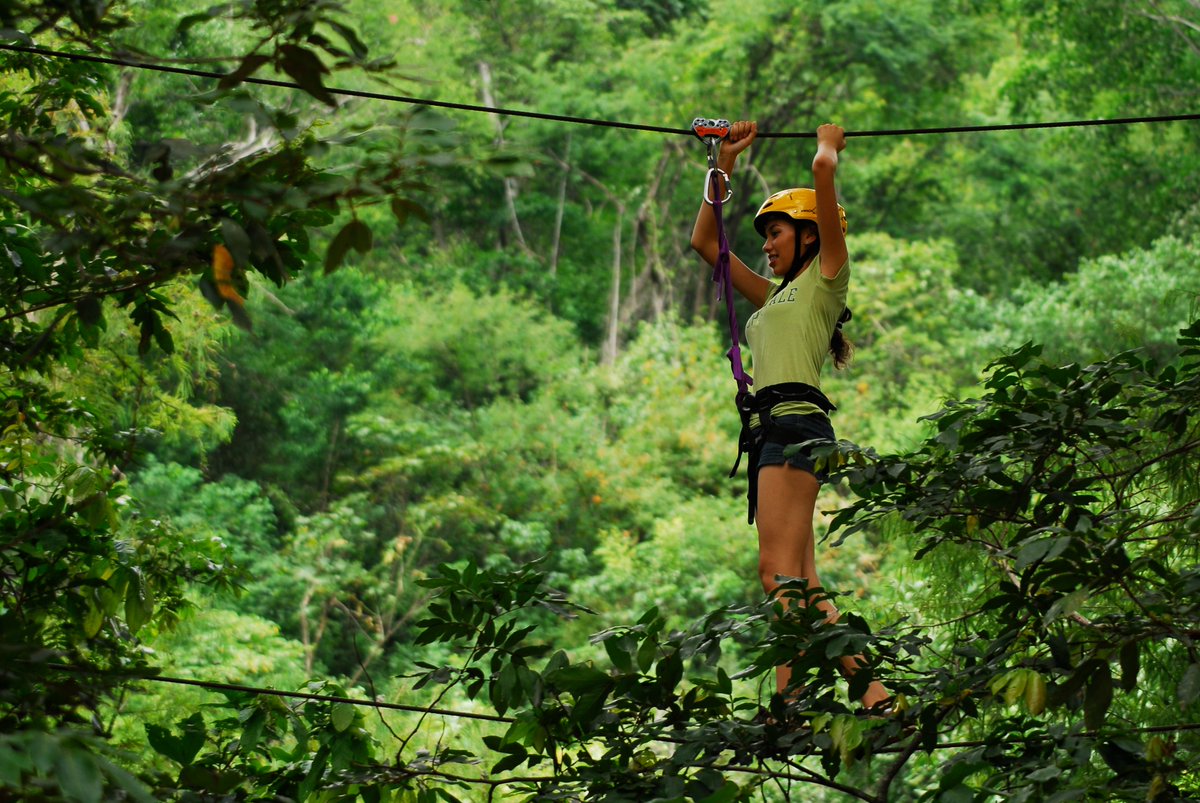 🤩 Participa en el Concurso Nacional de Cultura Turística 2021, con el tema: #PueblosMágicos Experiencia, Cultura, Turismo y Tradición.

🔍Consulta la convocatoria y las categorías dibujo, cartel, fotografía, video y pensamiento en prosa 🪶

📄 bit.ly/3qC9q7a
#CNCT2021