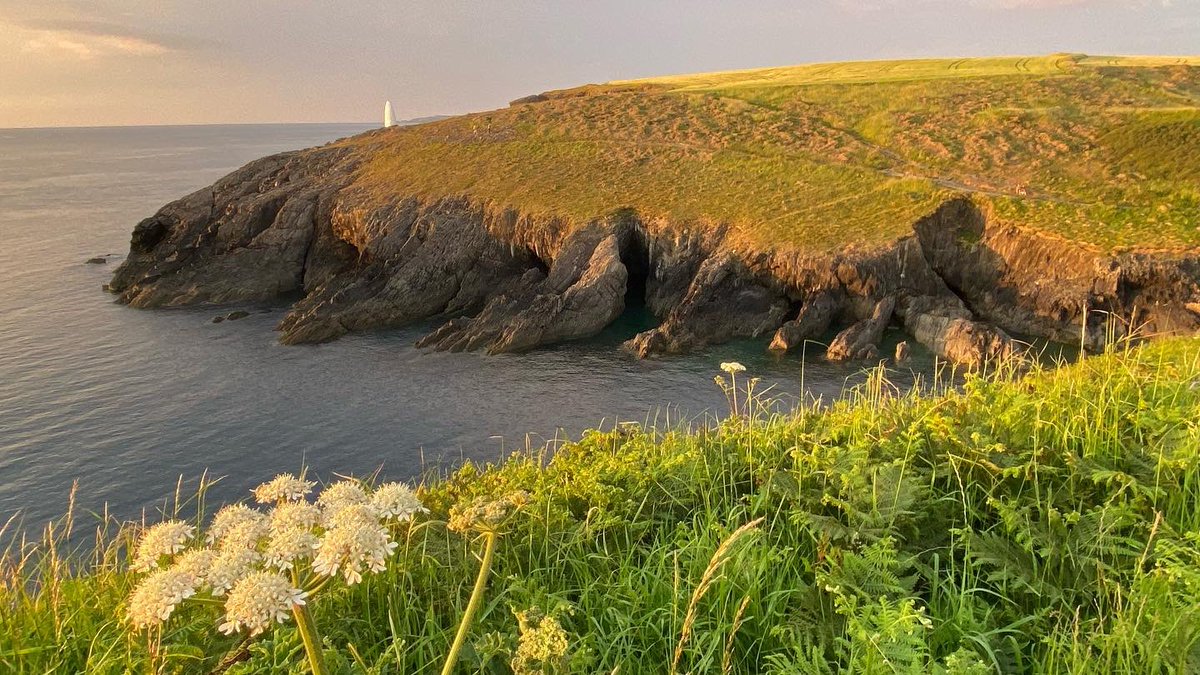 Oh my the difference a day makes #summerdays #midsummer #porthgain #takeaways #eatin #fishnchips #freshfish <a href="/ShedPorthgain/">The Shed</a> <a href="/YnysBarry/">Ynys Barry</a> <a href="/coastalliving/">Coastal Living</a> <a href="/visitwales/">Visit Wales 🏴󠁧󠁢󠁷󠁬󠁳󠁿</a> <a href="/Falcon_Boats/">Falcon Boats</a> <a href="/VisitPembs/">Visit Pembrokeshire 🏴󠁧󠁢󠁷󠁬󠁳󠁿</a> <a href="/TwrYFelin/">Twr y Felin Hotel</a> <a href="/llysmeddyg/">Llys Meddyg</a>