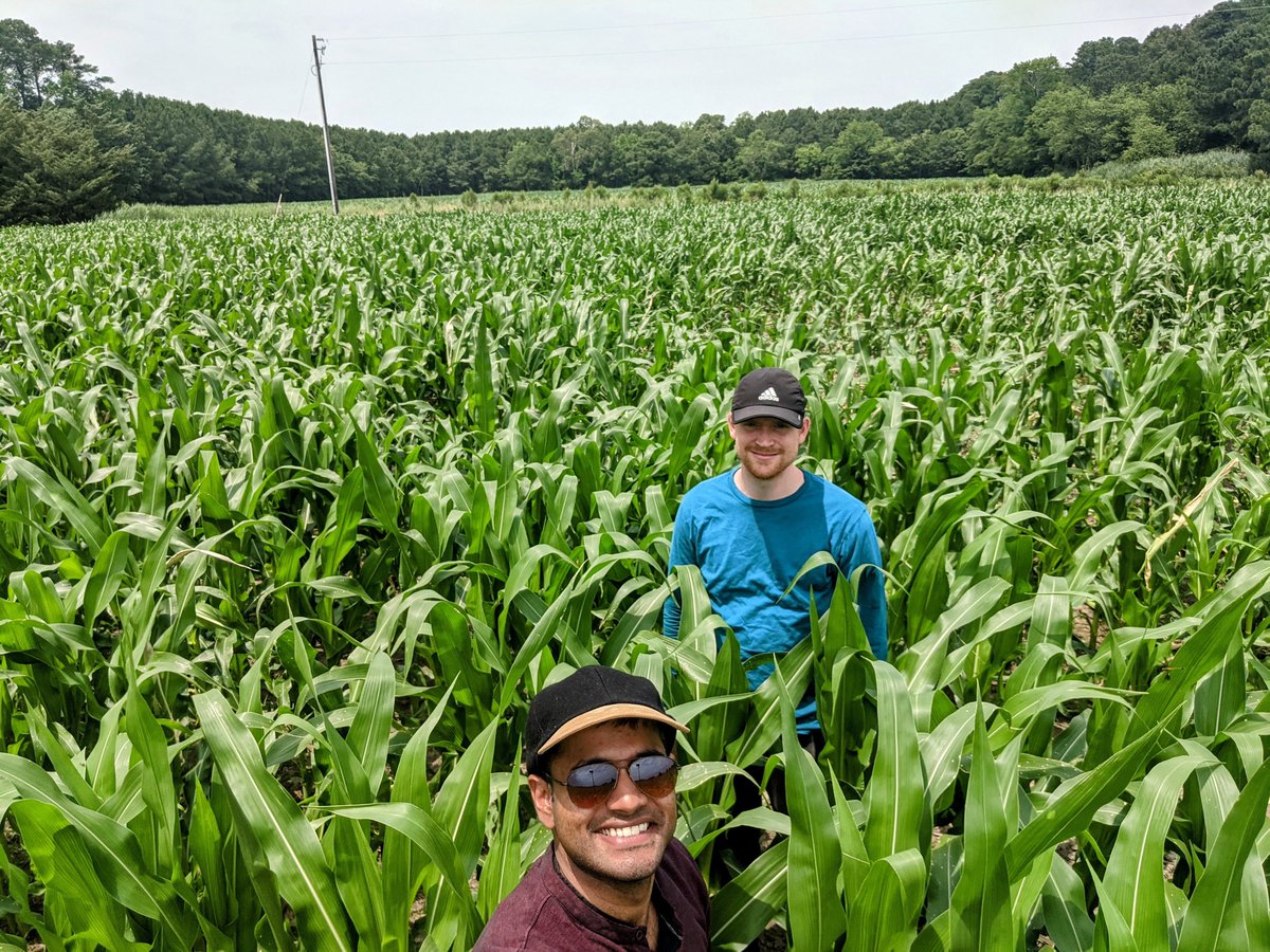 Dr. Pinki Mondal (@environmondal) on Twitter photo Ongoing #EASELlab #fieldwork for multiple funded projects across #Delmarva in collaboration w/ <a href="/DEagronomy/">Jarrod Miller</a>, <a href="/AgroEcoKate/">Kate Tully</a> & non-twitter colleagues. #FieldDay photos by <a href="/manan_sarupria/">Manan Sarupria</a> & <a href="/MST_Walter/">Matthew Walter</a>.
#remotesensing #Sentinel #Landsat #NAIP <a href="/udceoe/">UD College of Earth, Ocean and Environment</a> Ongoing #EASELlab #fieldwork for multiple funded projects across #Delmarva in collaboration w/ <a href="/DEagronomy/">Jarrod Miller</a>, <a href="/AgroEcoKate/">Kate Tully</a> & non-twitter colleagues. #FieldDay photos by <a href="/manan_sarupria/">Manan Sarupria</a> & <a href="/MST_Walter/">Matthew Walter</a>.
#remotesensing #Sentinel #Landsat #NAIP <a href="/udceoe/">UD College of Earth, Ocean and Environment</a>