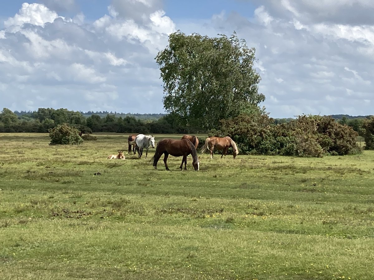 Rob Gearing tweet media