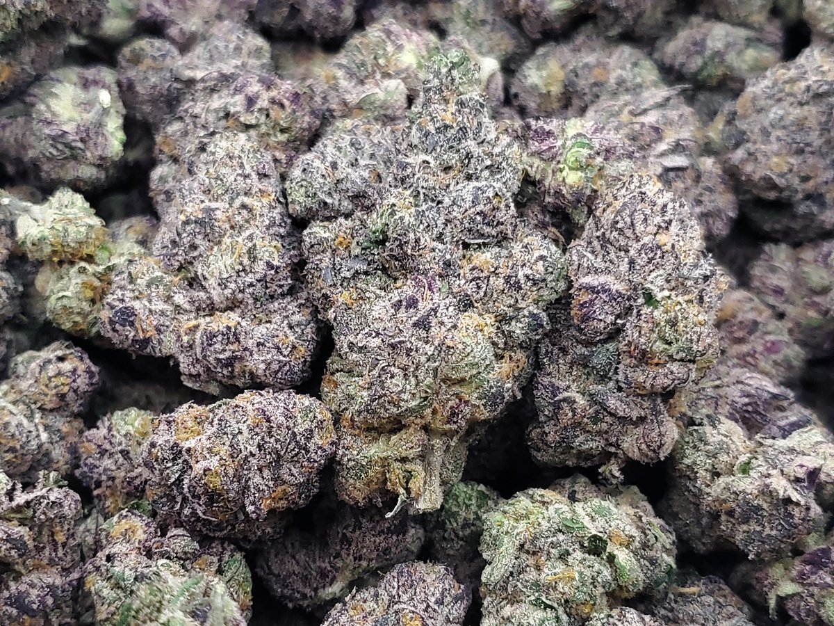 Cash Kelly tweet media