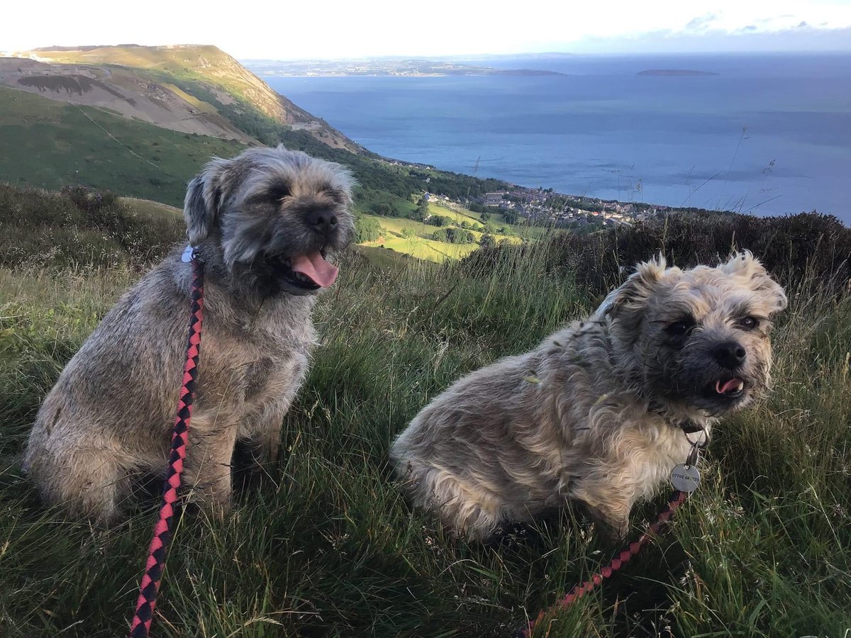 We’ve been to the top of a mountain in north Wales. Thirsty work.