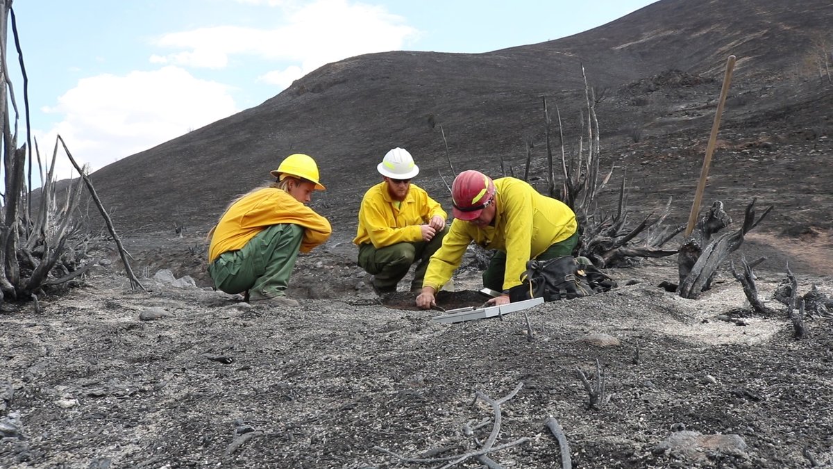 After a devastating wildfire, the U.S. Forest Service will sometimes send in Burned Area Emergency Response ("BAER") to assess damage and prevent further harm to our natural habitats. Affected lands can take years to recover. Let's try to take some work off of their plates.