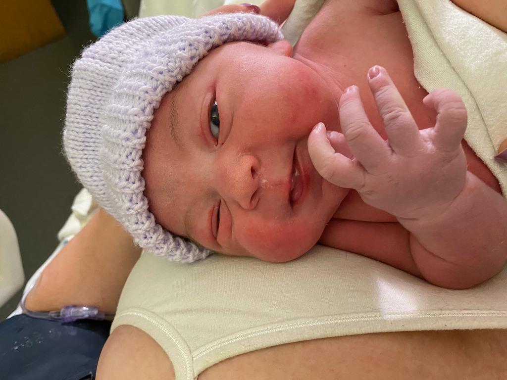 Skip Gently 🇨🇦 tweet media