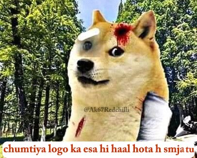 Ak67Redchilli's tweet photo. Tag @ 💀 https://t.co/cSa7RzOGYH