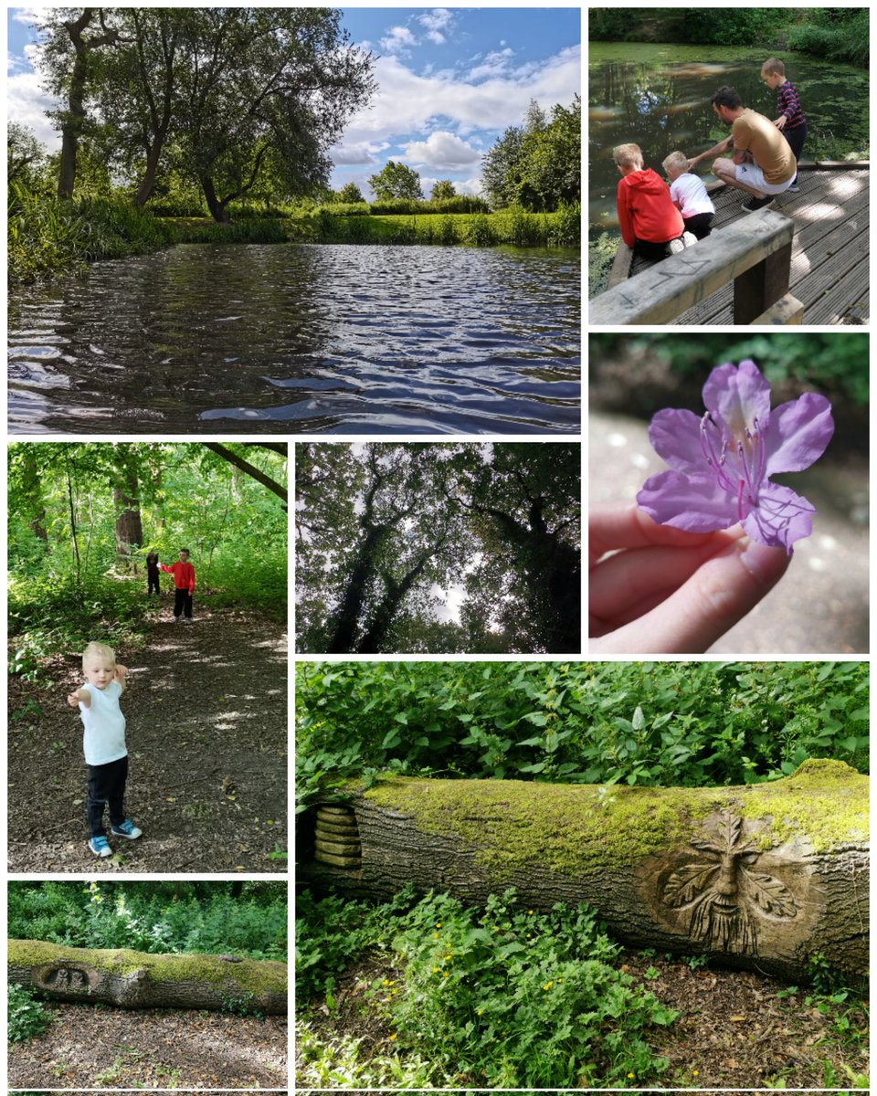 amzykins2's tweet photo. We've had a lovely adventure walk this morning and loved exploring the woods, climbing and seeing fallen trees, ponds, collecting sticks and carved pictures in wood @MissKellyMLP @MissHughesMLP @MissFlanaganMLP @MissMyersMLP #surroundedbynature #familyfun #woodlandwalk https://t.co/mPMZEZDNYd