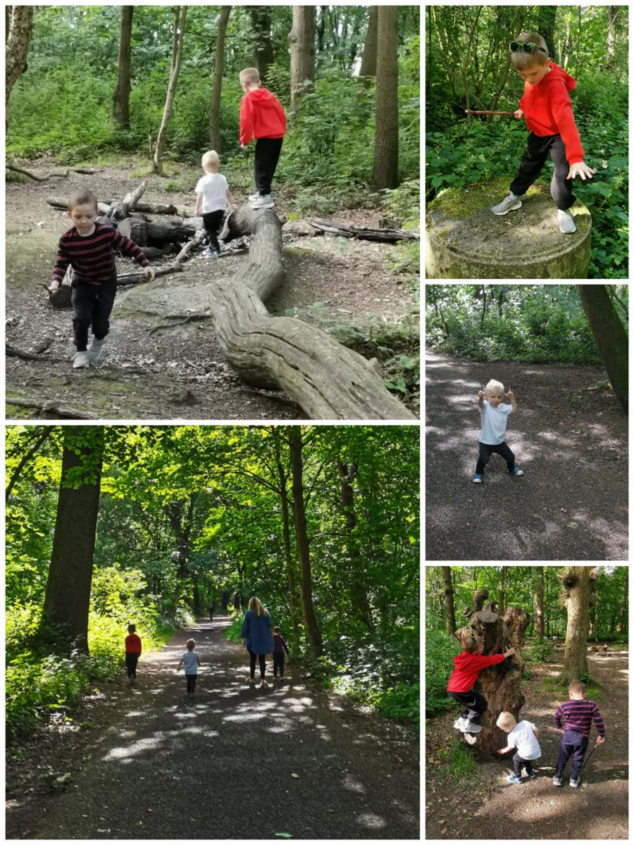 amzykins2's tweet photo. We've had a lovely adventure walk this morning and loved exploring the woods, climbing and seeing fallen trees, ponds, collecting sticks and carved pictures in wood @MissKellyMLP @MissHughesMLP @MissFlanaganMLP @MissMyersMLP #surroundedbynature #familyfun #woodlandwalk https://t.co/mPMZEZDNYd