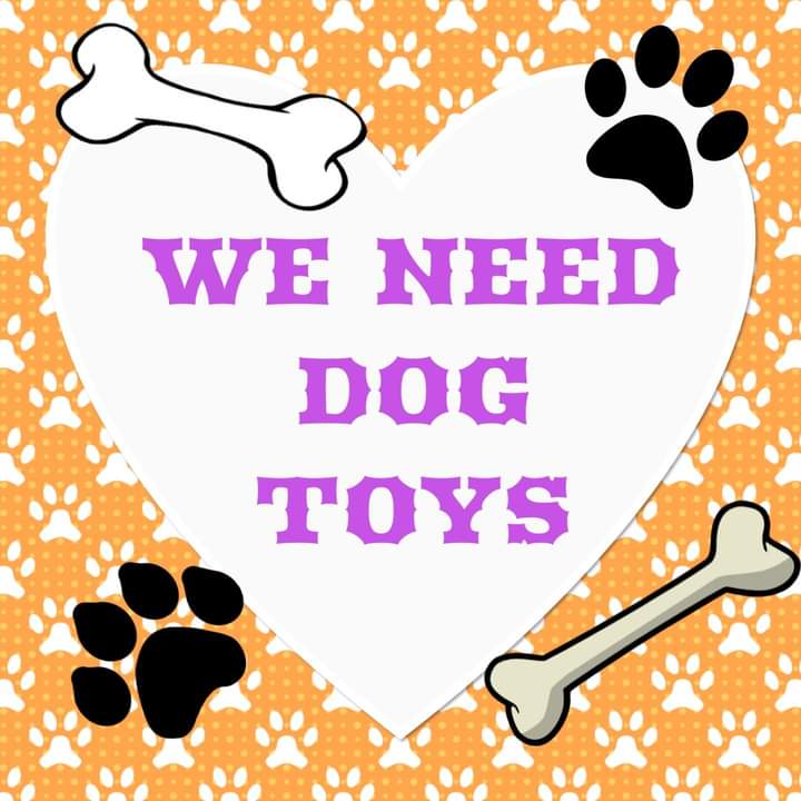 We’ve run out of dog toys. 
Could you possibly donate a toy for our dogs here in our little rescue as they help with their mental stimulation and fitness.
#thankyou #donationsneeded #flintshire #northwales #itsallaboutthedogs