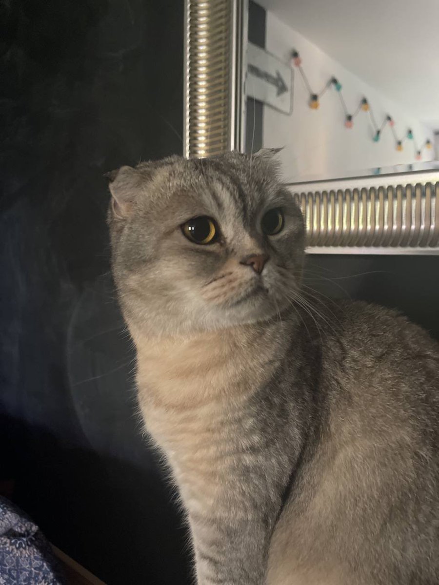 покушение на укушение tweet media