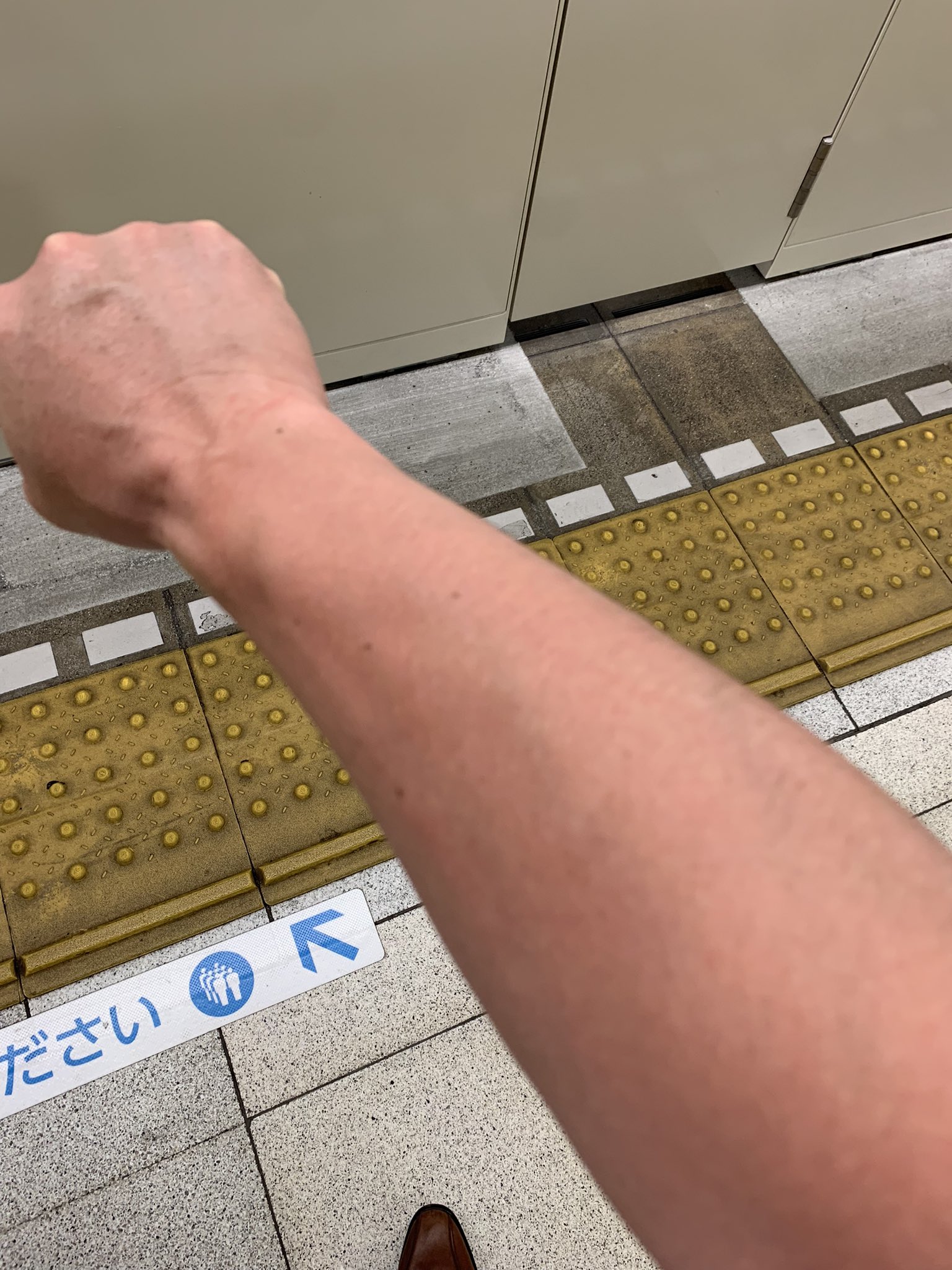 Inui R 朝の２時間余りの子供との散歩で 腕がかなり日焼けした 平日は室内ワークとはいえ なかなかに赤い 紫外線怖いというより 日焼けによる体力消耗による回復時間 睡眠時間 の延長が思いやられる つまり 寝る時間を増やさないといけない