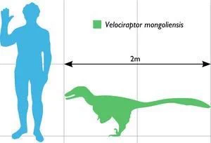 この大きさでも
余裕で人負けそうだな 