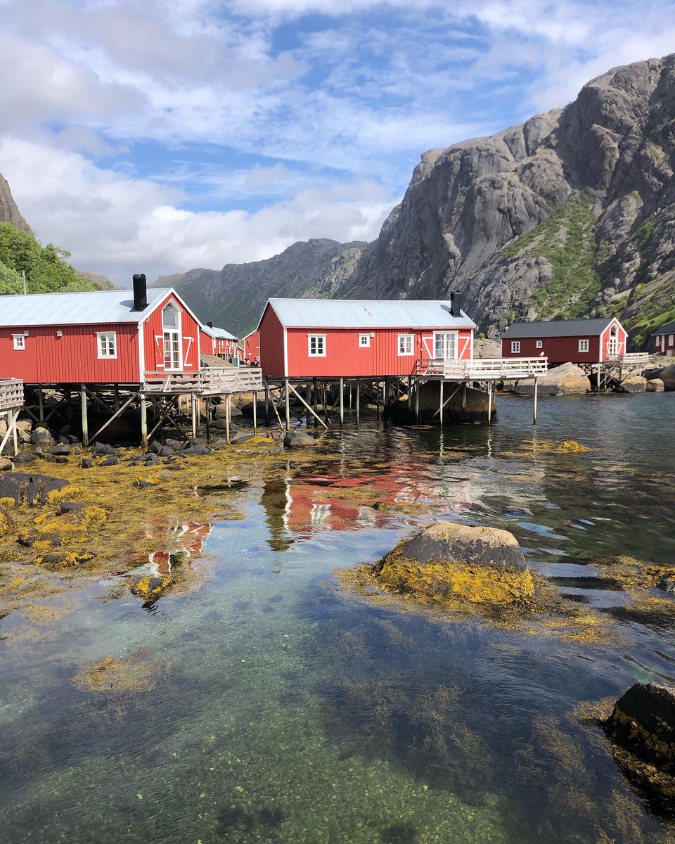 Virage8's tweet photo. Arrivés sur les Îles Lofoten, journée de repos bien méritée dans ce lieu paradisiaque ! C’est géant 😎 
#voyage #roadtrip #moto #motos #capnord #capnord2022 #enjoyyourride #enjoyyourlife #eyreyl #cestgeant
#thisisvirage8
https://t.co/HDZ7yeQe61
📸 @virage8 https://t.co/XKMliTKFu3