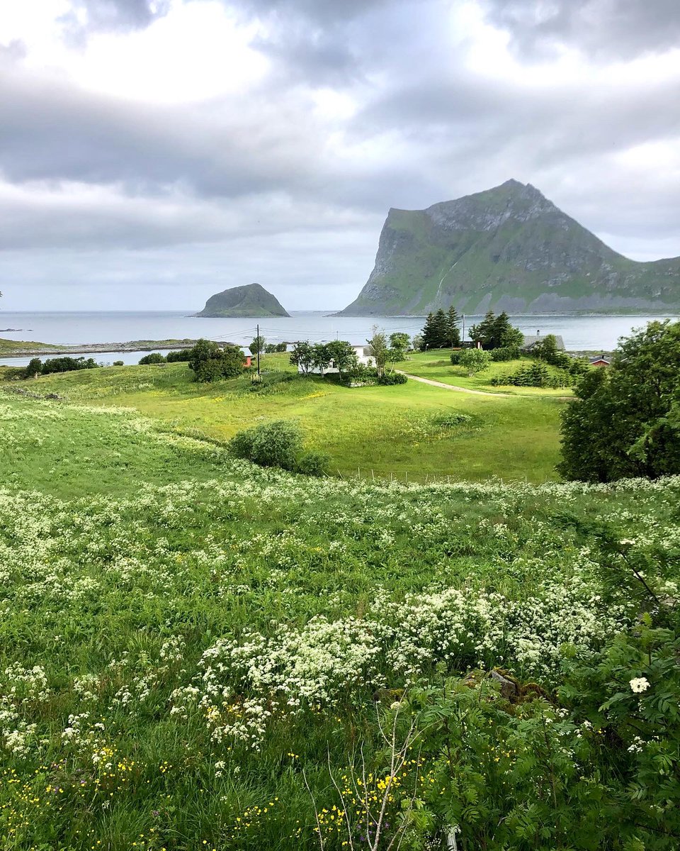 Virage8's tweet photo. Arrivés sur les Îles Lofoten, journée de repos bien méritée dans ce lieu paradisiaque ! C’est géant 😎 
#voyage #roadtrip #moto #motos #capnord #capnord2022 #enjoyyourride #enjoyyourlife #eyreyl #cestgeant
#thisisvirage8
https://t.co/HDZ7yeQe61
📸 @virage8 https://t.co/XKMliTKFu3