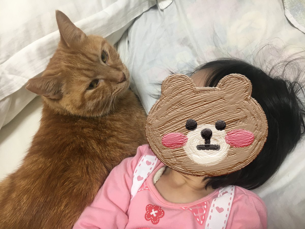 sprinter_ice's tweet photo. 保護猫として1歳まで育てられ、その後お迎えした多摩🐈が去る6月22日に永眠しました🐾

まだ4歳と少しでした。
できる限りのことはしてあげられたと思います。
辛そうにしていたので楽にしてあげられたと肯定的に捉えたいと思っています。
娘を見守りよく遊んでくれました。
またどこかで会おうな。 https://t.co/5ByHQtOvLl