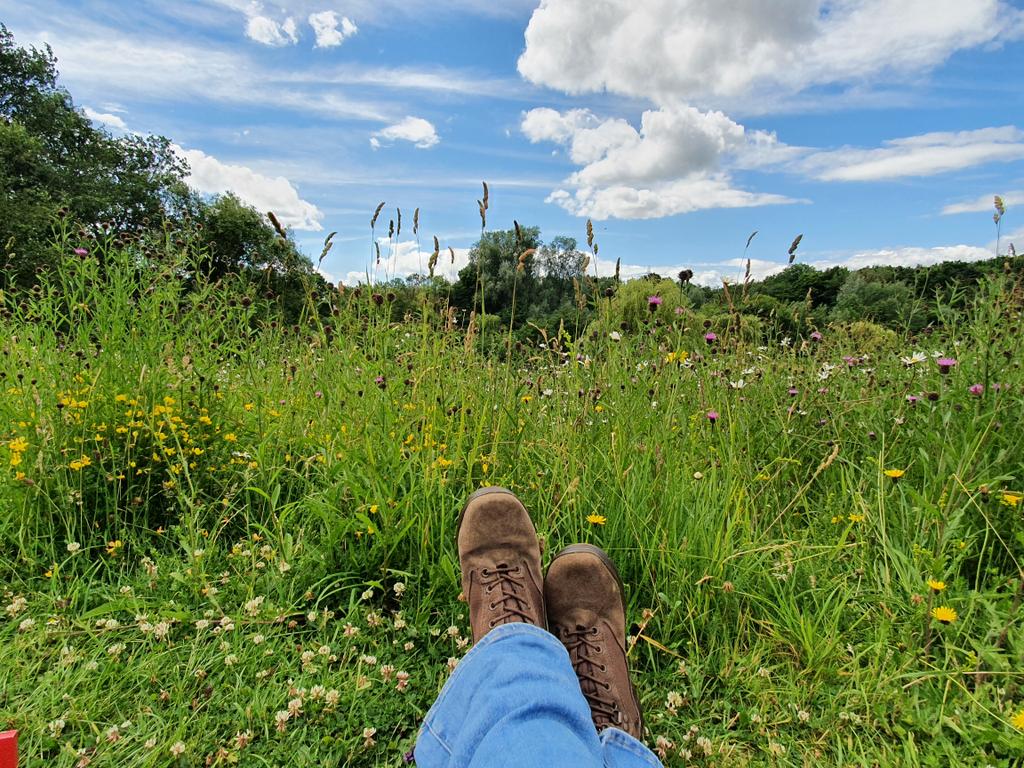 SharonEnv1's tweet photo. Day 25 #30DaysWild at the edge of a #wildflower meadow having an ecoffee (forgot my keep cup but @WWTWashington to the rescue with a #butterflycup). Enjoying reading @sophiepavs #forgetmenot with WWT chocolate! It doesn't get any better than this 💚📚🦋 #BookTwitter @30DaysWild https://t.co/2ESAqNhjof