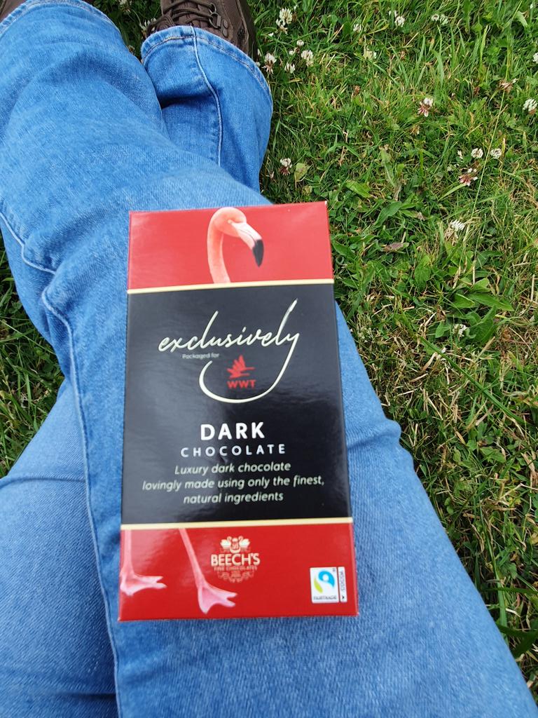 SharonEnv1's tweet photo. Day 25 #30DaysWild at the edge of a #wildflower meadow having an ecoffee (forgot my keep cup but @WWTWashington to the rescue with a #butterflycup). Enjoying reading @sophiepavs #forgetmenot with WWT chocolate! It doesn't get any better than this 💚📚🦋 #BookTwitter @30DaysWild https://t.co/2ESAqNhjof