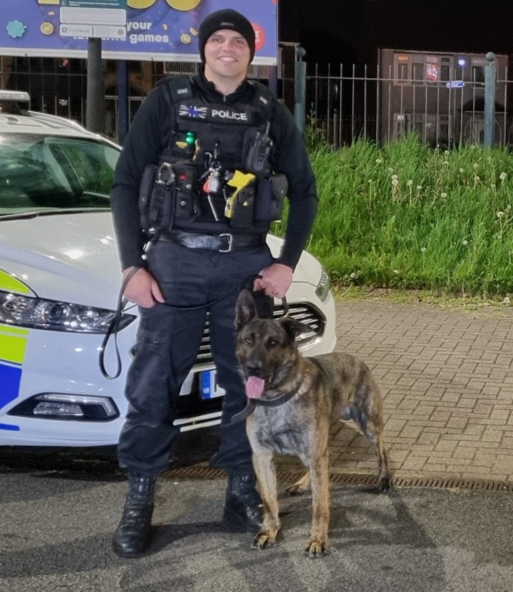 Another one in the bag! Several persons aledged to have been in possession of  machetes damaging property.PD Moose arrived to find suspects had fled! Nose down,away we went,suspect N.1 located hiding bushes!Sus N.2 quickly followed.Good night's work for the Moose <a href="/ClevePol_Dogs/">Cleveland Police Dogs</a>