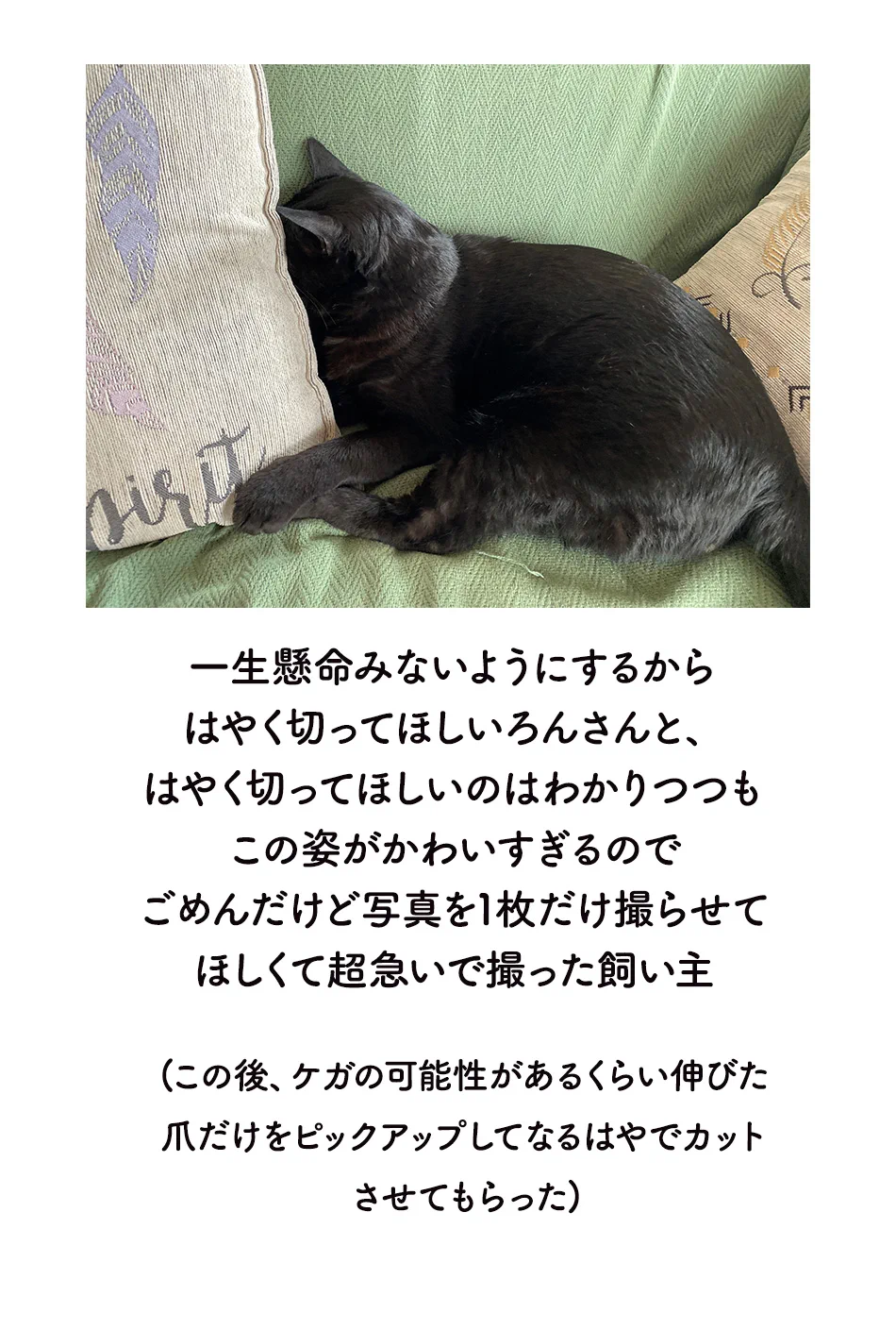 まるで人間の子どものような反応！愛猫の爪切りの様子を描いた可愛い猫漫画が話題に！