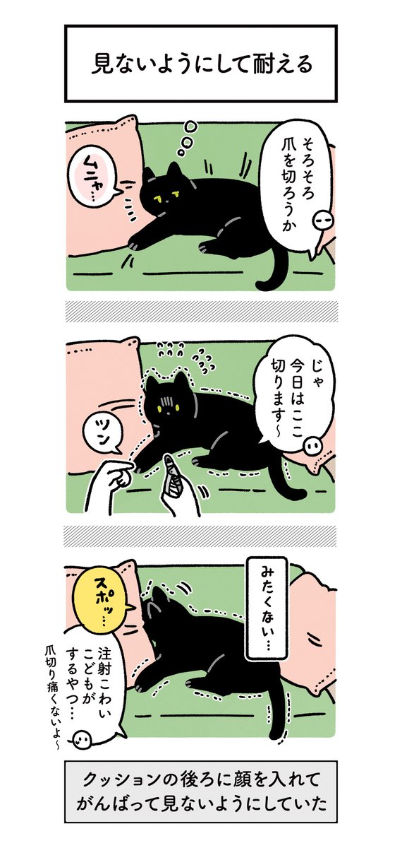 ろんさんの爪切りの我慢のしかたがなんだか人間のこどもっぽくて、猫の知能は小さいこどもと同じって聞くけどホントなんだろうねえと感心した #ろんの絵日記 