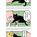 まるで人間の子どものような反応!愛猫の爪切りの様子を描いた可愛い猫漫画が話題に!