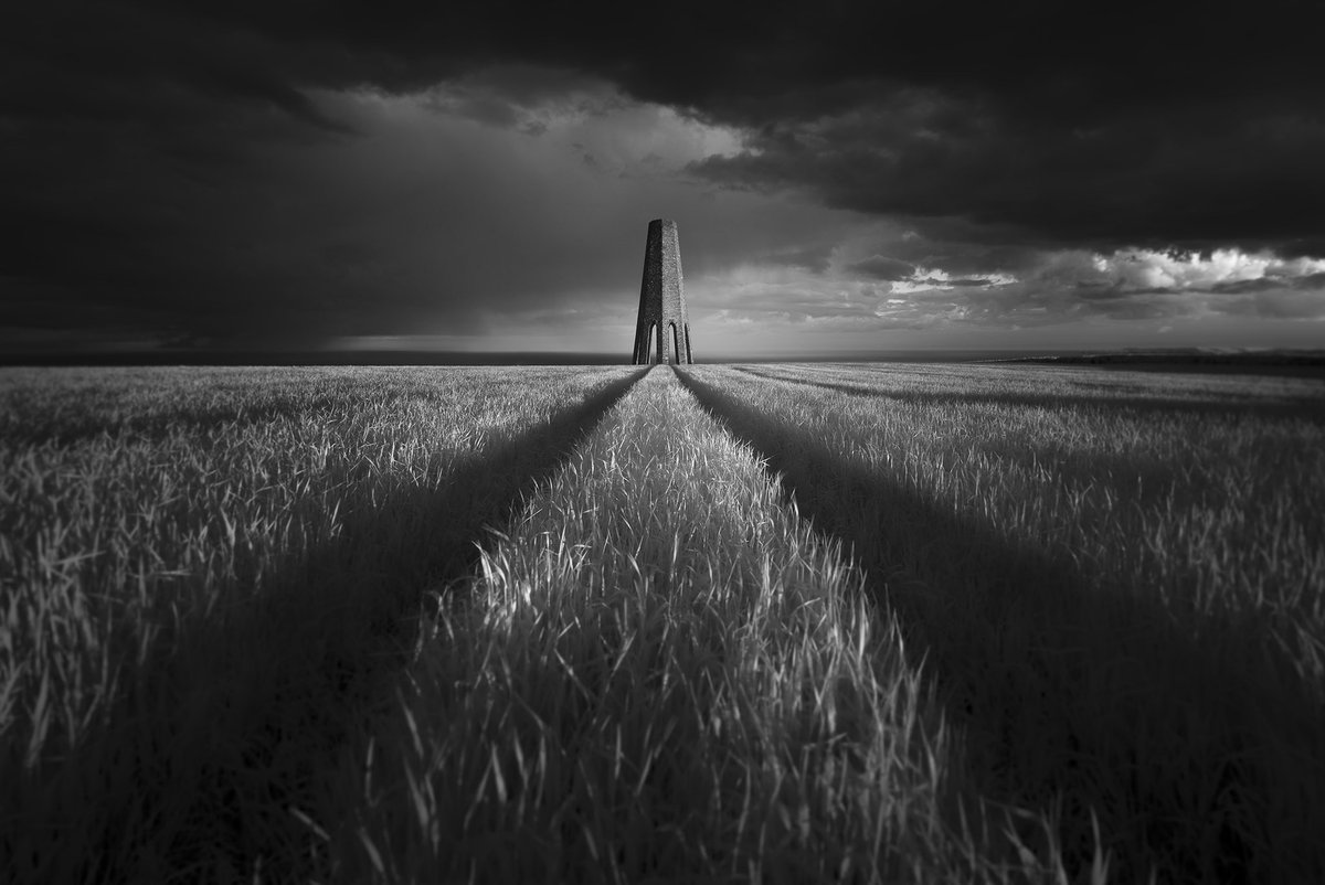 Neil Burnell tweet media