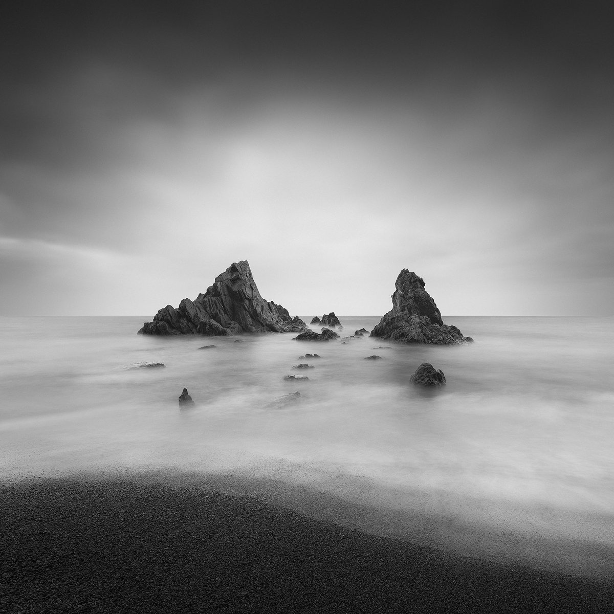 Neil Burnell tweet media