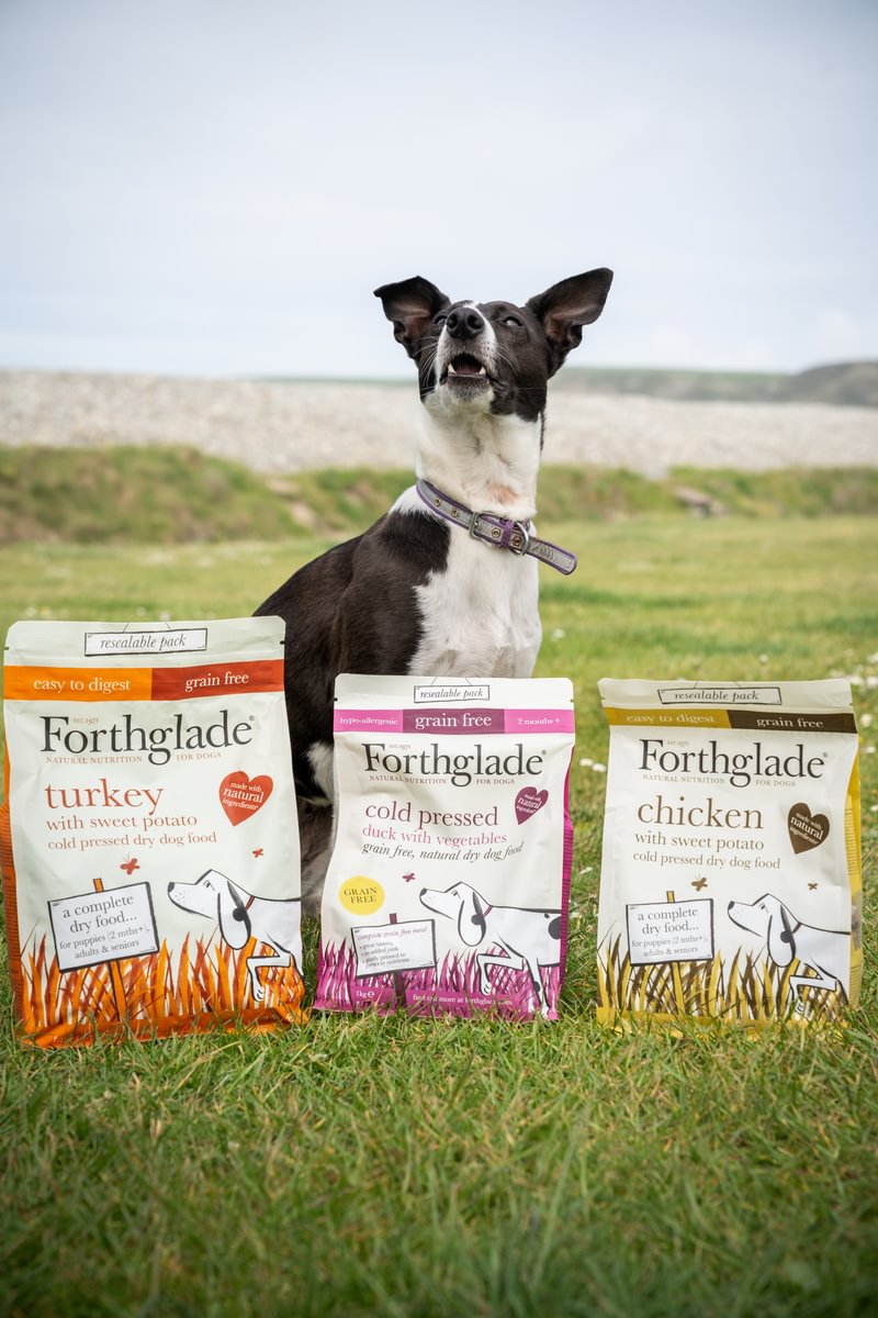 Forthglade's tweet image. Jeannie pondering over which cold pressed to choose for her dinner... They're all just so tasty 🤤 

#ForthgladeFeast #AdventureTails