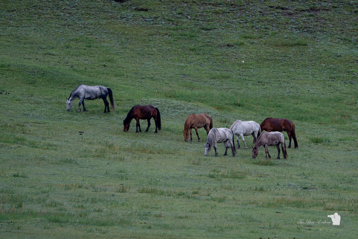 𝓣𝓼.𝓑𝓪𝓽-𝓔𝓻𝓭𝓮𝓷𝓮 🕉 tweet media